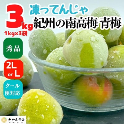 冷凍 青梅 南高梅 約3kg 秀品 2L or Lサイズ 和歌山県産 紀州有田 産地直送 クール便