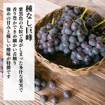 種なし 有田巨峰村の巨峰 2kg ( 3房 ～ 6房 ) 和歌山県産 産地直送 クール便対応