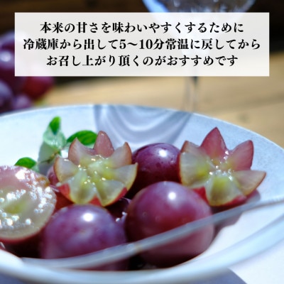 訳あり それでも 巨峰 2kg ( 3房 ～ 6房 ) 和歌山県産 産地直送 クール便対応