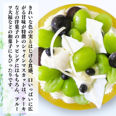 シャインマスカット 有田巨峰村 約1.2kg ( 1房 ～ 3房 ) 和歌山県産 産地直送 クール便