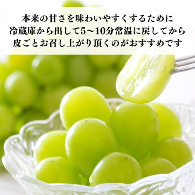 シャインマスカット 有田巨峰村 約1.2kg ( 1房 ～ 3房 ) 和歌山県産 産地直送 クール便