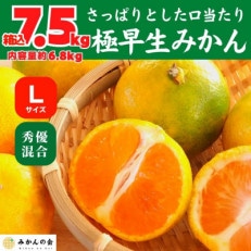 みかん 極早生 箱込7.5kg(内容量6.8kg) Lサイズ 秀優混合 有田みかん 和歌山県産