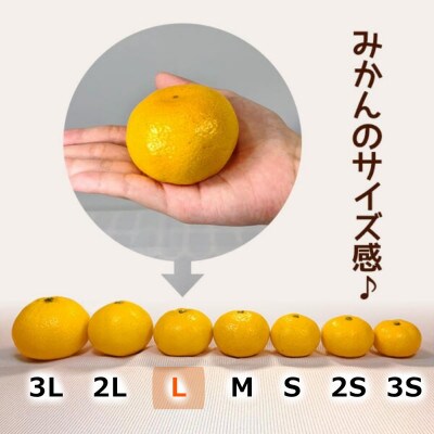 みかん 極早生 箱込7.5kg(内容量6.8kg) Lサイズ 秀優混合 有田みかん 和歌山県産