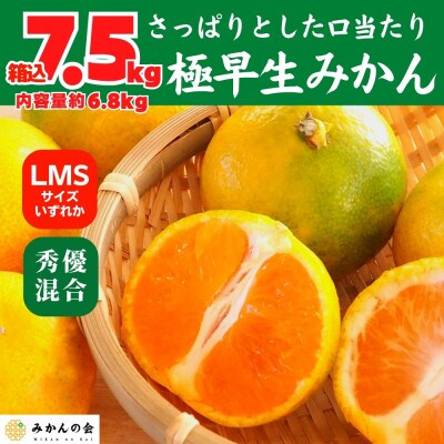 みかん 極早生 箱込7.5kg(内容量6.8kg) LMSいずれか 秀優混合 有田みかん 和歌山県産