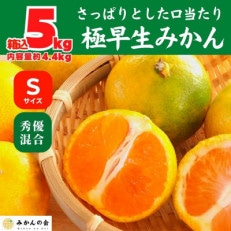 みかん 極早生 箱込5kg(内容量4.4kg) Sサイズ 秀優混合 有田みかん 和歌山県産