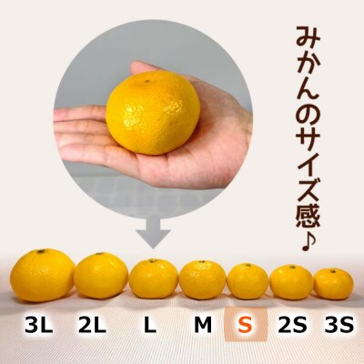 みかん 極早生 箱込5kg(内容量4.4kg) Sサイズ 秀優混合 有田みかん 和歌山県産