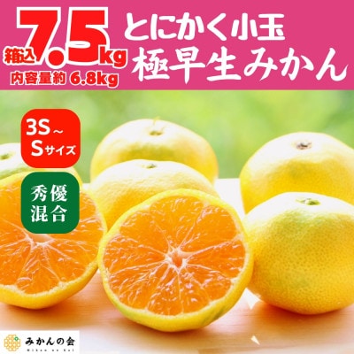 小玉みかん 極早生 箱込7.5kg(内容量6.8kg) 3S～S 秀優混合 有田みかん
