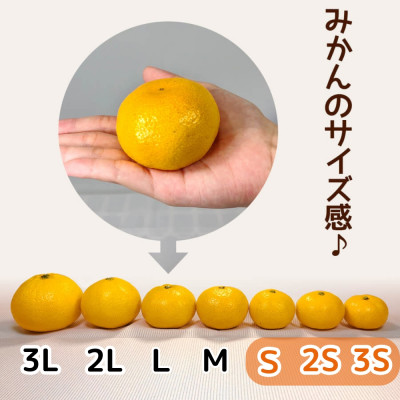 小玉みかん 極早生 箱込7.5kg(内容量6.8kg) 3S～S 秀優混合 有田みかん