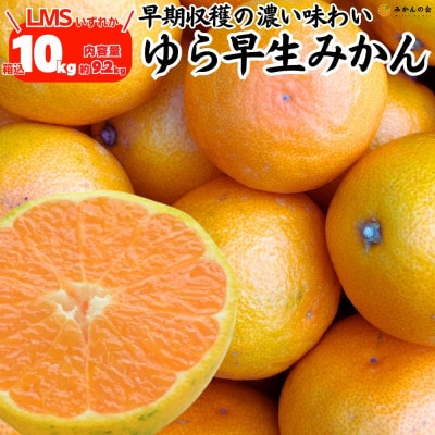 ゆら早生 みかん 箱込10kg(内容量9.2kg) LMSいずれか 秀優混合 有田川町 和歌山県産