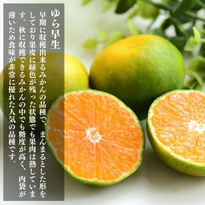 ゆら早生 みかん 箱込10kg(内容量9.2kg) LMSいずれか 秀優混合 有田川町 和歌山県産