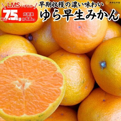 ゆら早生 みかん 箱込7.5kg (内容量 6.8kg) LMSいずれか 秀優混合 和歌山県産