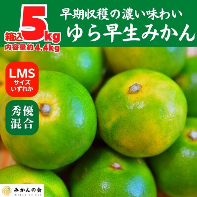 ゆら早生 みかん 箱込 5kg(内容量 4.4kg) LMSサイズいずれか 秀優混合 和歌山県産