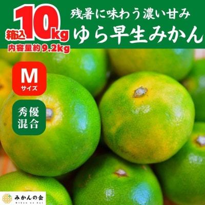 ゆら早生 みかん 箱込 10kg (内容量 9.2kg) Mサイズ 秀優混合 有田川町 和歌山県産