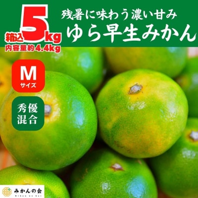 ゆら早生 みかん 箱込 5kg (内容量 4.4kg) Mサイズ 秀優混合 有田川町 和歌山県産