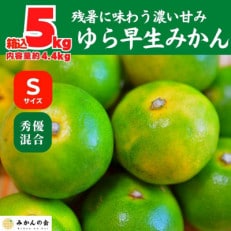 ゆら早生 みかん 箱込 5kg (内容量 4.4kg) Sサイズ 秀優混合 有田川町 和歌山県産