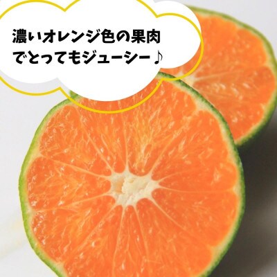 訳あり ゆら早生 みかん 箱込 10kg ( 内容量 9.2kg ) サイズミックス 有田みかん