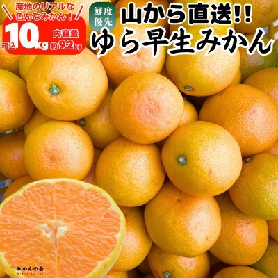 ゆら早生 みかん 山から直送 箱込 10kg (内容量 9.2kg) 採れたてそのままごろごろ規格