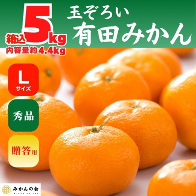 みかん Lサイズ 箱込 5kg (内容量 4.4kg) 秀品 有田みかん 和歌山 産地直送 贈答用