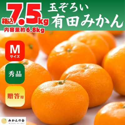 みかん Mサイズ 箱込 7.5kg (内容量6.8kg) 秀品 有田みかん 和歌山 産地直送 贈答用