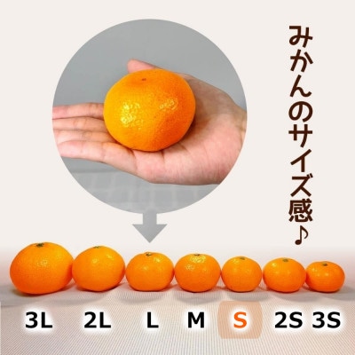 みかん Sサイズ 箱込 7.5kg (内容量 6.8kg) 秀品 有田みかん 産地直送 贈答用