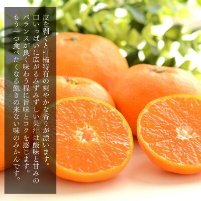 みかん 小玉ちゃん 箱込 7.5kg(内容量6.8kg)2S サイズ以下 秀品 有田みかん