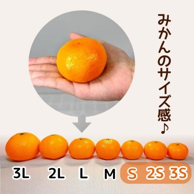 みかん 小玉ちゃん 箱込 7.5kg(内容量6.8kg) 3S～Sサイズ混合 秀優混合 有田みかん