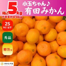 みかん 小玉ちゃん 箱込 5kg (内容量 4.4kg) 2S サイズ以下 秀品 有田みかん