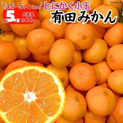 みかん 小玉ちゃん 箱込 5kg (内容量 4.4kg) 3S～Sサイズ混合 秀優混合 有田みかん