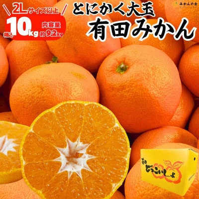 みかん 大玉 どっこいしょ 箱込 10kg ( 内容量 9.2kg ) 2Lサイズ以上 秀優混合