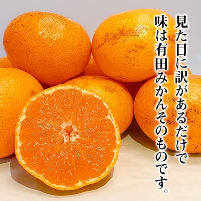 訳あり それでも みかん  箱込 10kg ( 内容量 9.2kg ) サイズミックス B品 和歌山