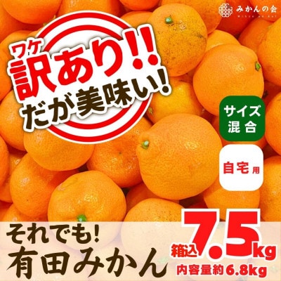 訳あり それでも みかん 箱込 7.5kg ( 内容量 6.8kg ) サイズミックス B品 和歌山