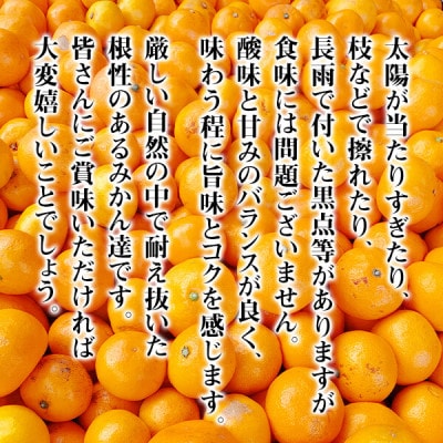 訳あり それでも みかん 箱込 7.5kg ( 内容量 6.8kg ) サイズミックス B品 和歌山