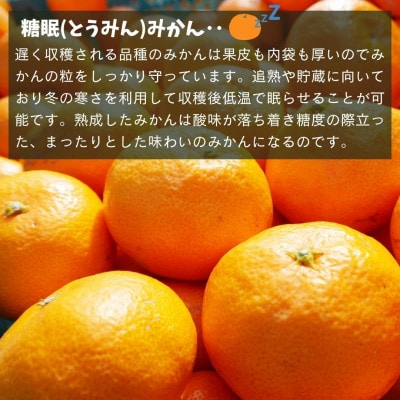 熟成 みかん L/M/Sいずれか 秀優混合 箱込 10kg ( 内容量 9.2kg )  糖眠みかん