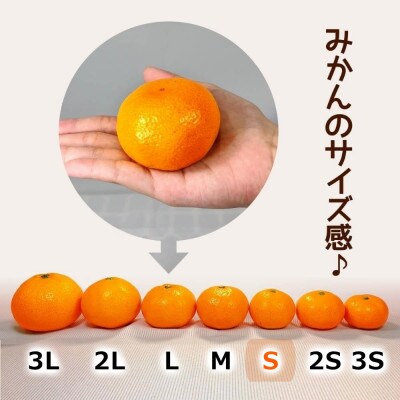 熟成 みかん 秀品 箱込 10kg ( 内容量 9.2kg ) Sサイズ 玉ぞろい 糖眠みかん