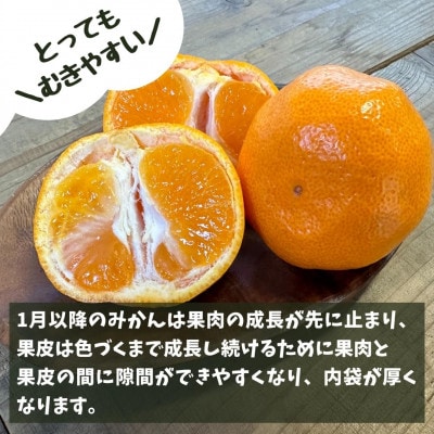 熟成 みかん 秀品 箱込 7.5kg ( 内容量 6.8kg ) Sサイズ 玉ぞろい 糖眠みかん