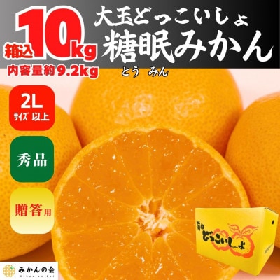 熟成 みかん  大玉 秀品 箱込 10kg ( 内容量 9.2kg ) 2Lサイズ以上 どっこいしょ