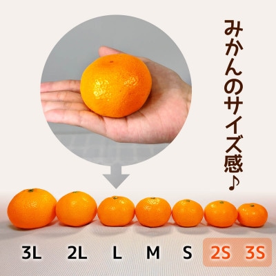 熟成 みかん とにかく 小玉 箱込 7.5kg (内容量 6.8kg) 2Sサイズ以下 秀優品混合