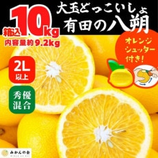 はっさく 大玉 どっこいしょ 箱込 10kg (内容量約9.2kg) 秀優品混合 2Lサイズ以上