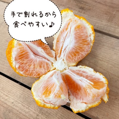 不知火 (しらぬい) とにかく大玉 どっこいしょ 10kg (内容量約 9.2kg)  秀優品混合