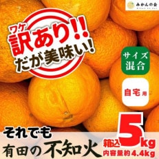 訳あり それでも 不知火 (しらぬい) 箱込 5kg (内容量 4.4kg) サイズミックス B品