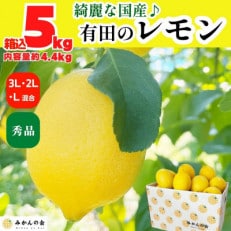 レモン 国産 秀品 中玉 箱込 5kg(内容量4.4kg) L 2L 3L ミックス 和歌山県産