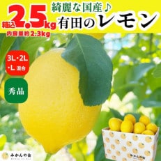 レモン 国産 秀品 中玉 箱込 2.5kg(内容量2.3kg) L 2L 3L ミックス 和歌山県産