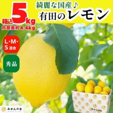 レモン 国産 秀品 小玉 箱込 5kg(内容量4.4kg) S M L ミックス 和歌山県産