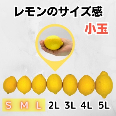 レモン 国産 秀品 小玉 箱込 2.5kg (内容量2.3kg) S M L ミックス 和歌山県産
