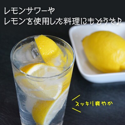 レモン 国産 秀品 小玉 箱込 2.5kg (内容量2.3kg) S M L ミックス 和歌山県産