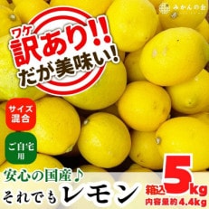 訳あり レモン 国産 箱込 5kg ( 内容量 4.4kg )サイズミックス 和歌山県産