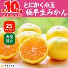 有田みかん小玉【極早生】箱込 10kg (内容量9.2kg) 2Sサイズ以下 秀優品混合