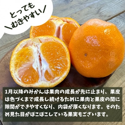 訳あり 有田みかん【それでも!熟成糖眠みかん】箱込 7.5kg (内容量6.8kg) サイズミックス
