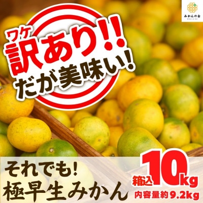 訳あり 有田みかん【極早生】箱込 10kg (内容量 9.2kg) サイズミックス 和歌山