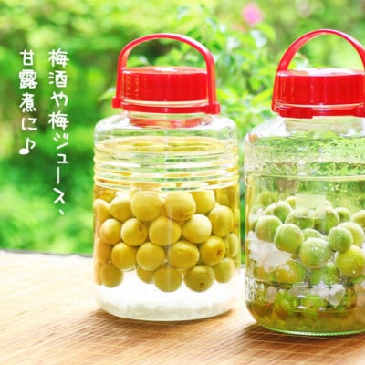 青梅 南高梅 約3kg 訳あり サイズミックス 和歌山県産 B品